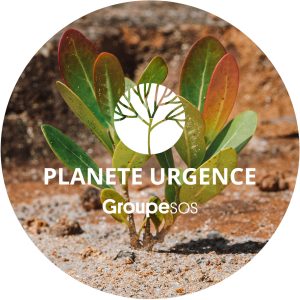 La Rosée 1 euro = 1 arbre plantÃ©
